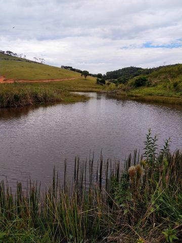 Fazenda região de Itanhaém BA - Foto 12