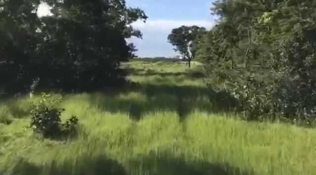 Fazenda em Santo Antônio do Leverger 9.880 hectares - Foto 3