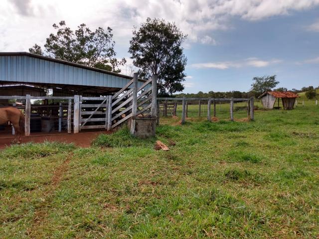 Fazenda, terra boa e pronta! - Foto 5
