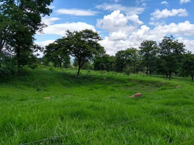 Fazenda taquaral 990.000.00