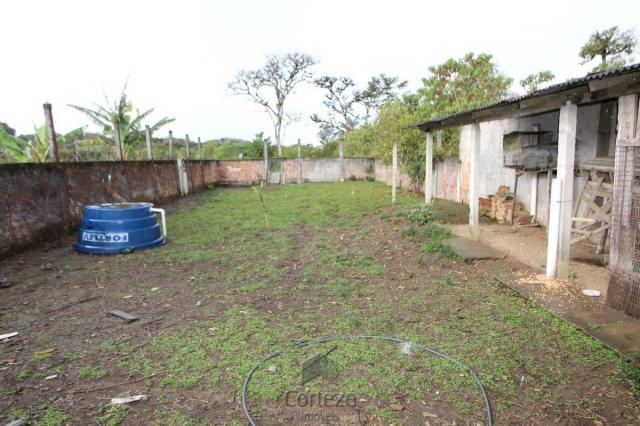Chácara no Barro Branco em São José dos Pinhais - Foto 14