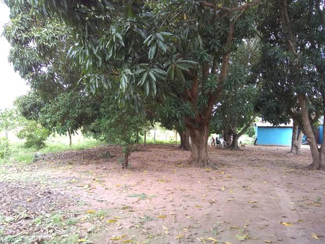 Chacara - Foto 4