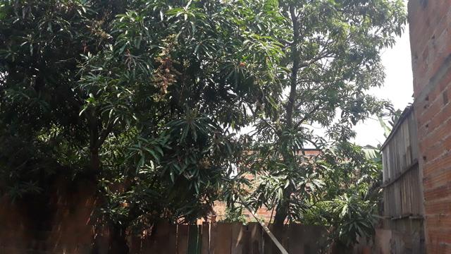 Vende-se esta casa 25.000r$ - Foto 6