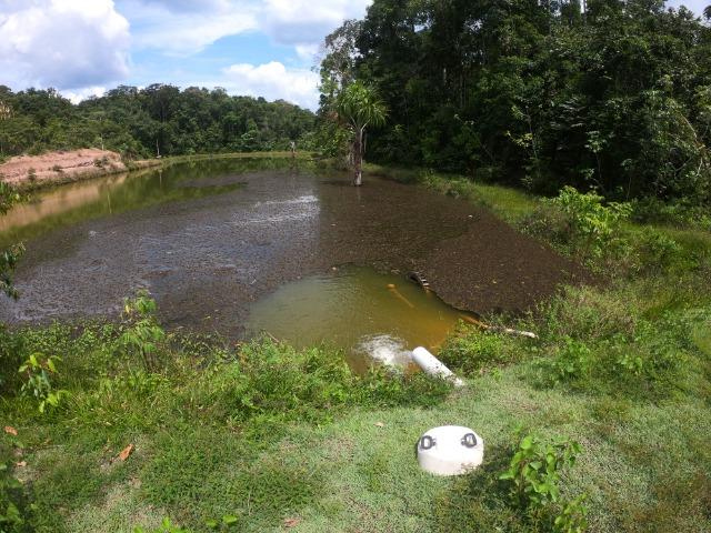 Fazenda Produtiva 1200 x 1100 com 20 tanques peixes em Rio Preto da Eva - Foto 3