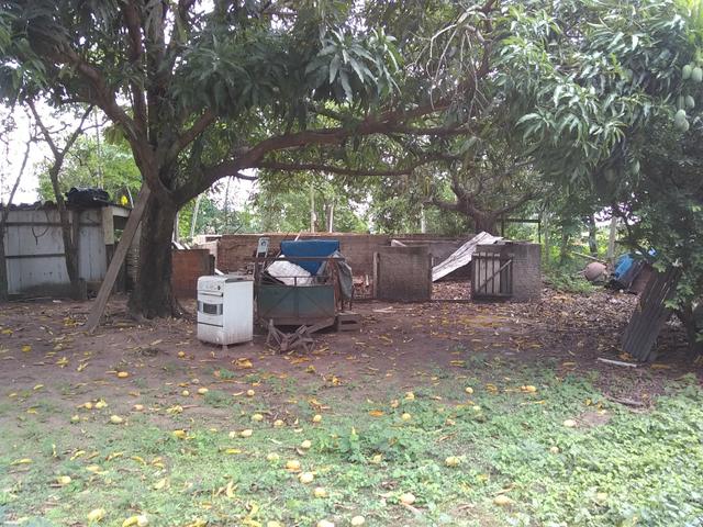 Chacara - Foto 13