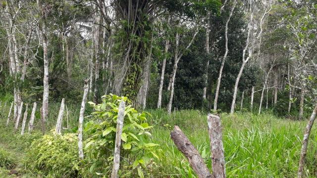 Fazenda com excelente localização - Foto 7
