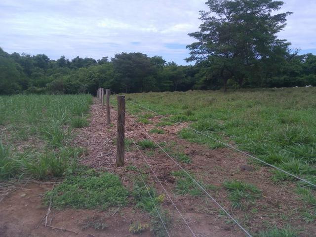 Vende-se uma chácara na região do PADF 18 HECTARES - Foto 9