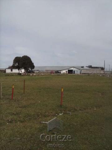 Terreno amplo no Costeira - Foto 2