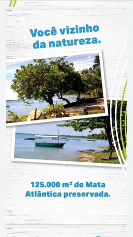 Terrenos na ilha - Foto 2