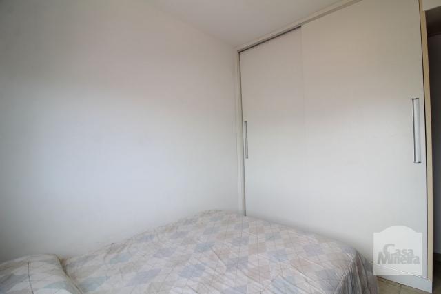 Apartamento à venda com 4 dormitórios em Calafate, Belo horizonte cod:240539 - Foto 6