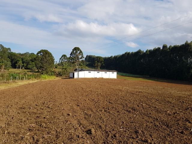 Terreno rural mecanizado com barracão fechado de 550 m2