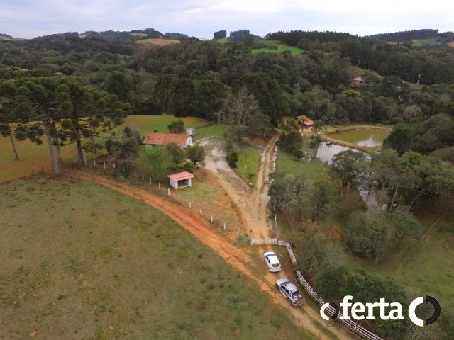 Chácara em Contenda com 30.170 metros quadrados - Foto 2