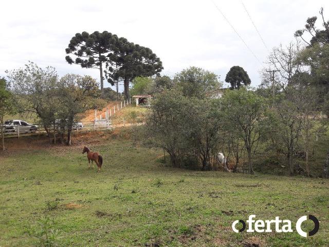 Chácara em Contenda com 30.170 metros quadrados - Foto 10
