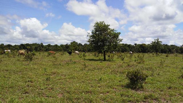 Bela Chacrinha 02ha - Lindo Lugar - Foto 7