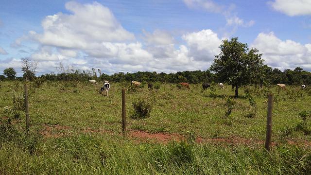 Bela Chacrinha 02ha - Lindo Lugar - Foto 6