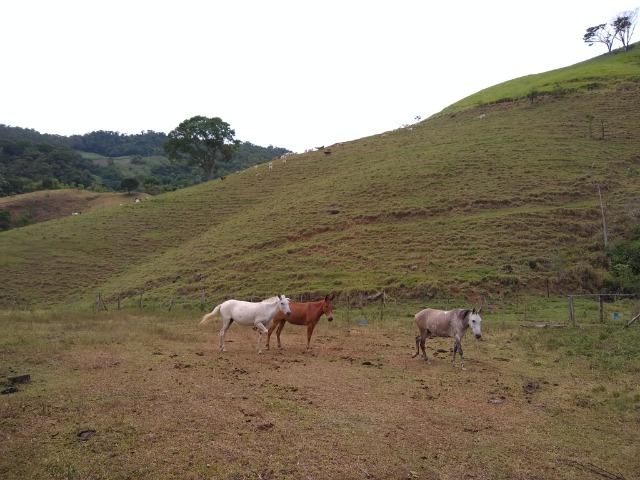 Fazenda de 150 alqueires ou seja 7.200.000 m² em Casimiro de Abreu, RJ - Foto 12