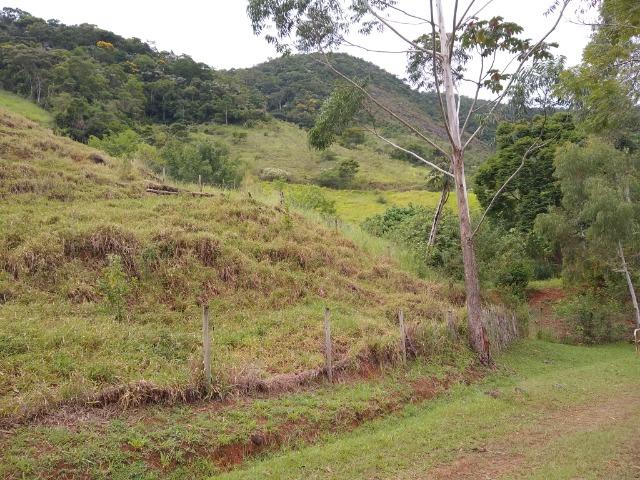 Fazenda de 150 alqueires ou seja 7.200.000 m² em Casimiro de Abreu, RJ - Foto 18