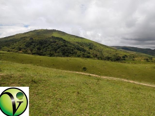 Temos Sua Fazenda de 65 hectares a 1.200 Hectares na Região de Pernambuco/PE - Foto 12