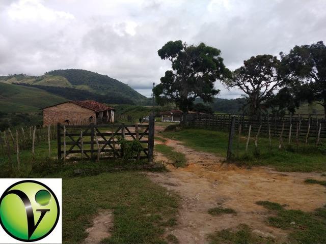 Temos Sua Fazenda de 65 hectares a 1.200 Hectares na Região de Pernambuco/PE - Foto 10