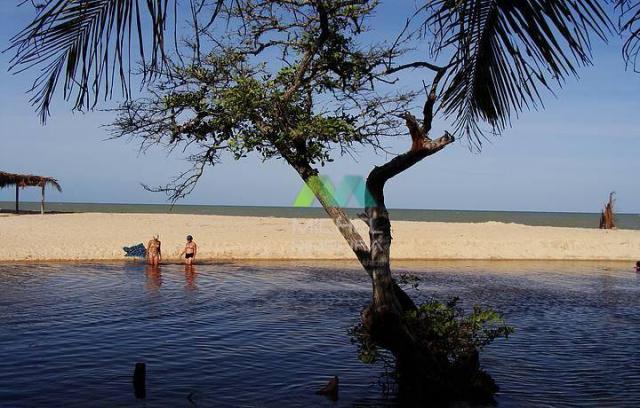 Terreno de 14.000m² - frente para o mar - cumuruxatiba - bahia - Foto 10