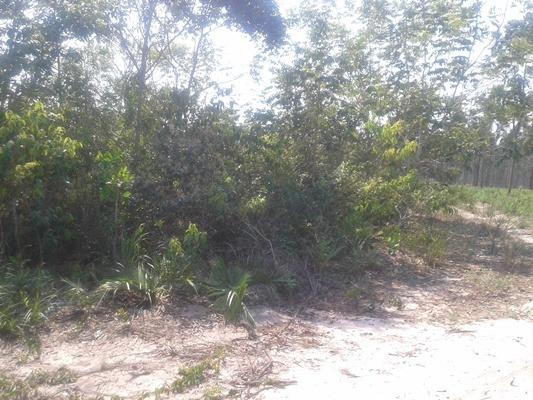 2400 Hectares,Troco Parte x São Paulo, cerrado Tangará-MT