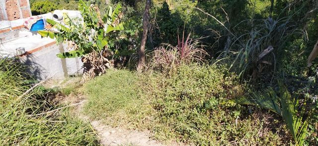 Terreno 125 m2 em s. pedro- sant. paraíba- facilitado- entrada e mais parcelas - Foto 4