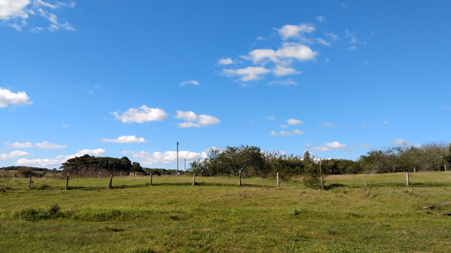 SSV Imóveis Apresenta, 2.550 m2, 1 km da RS 040, veja