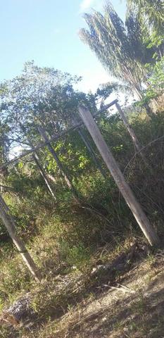 V/t terreno na Bahia - Foto 11
