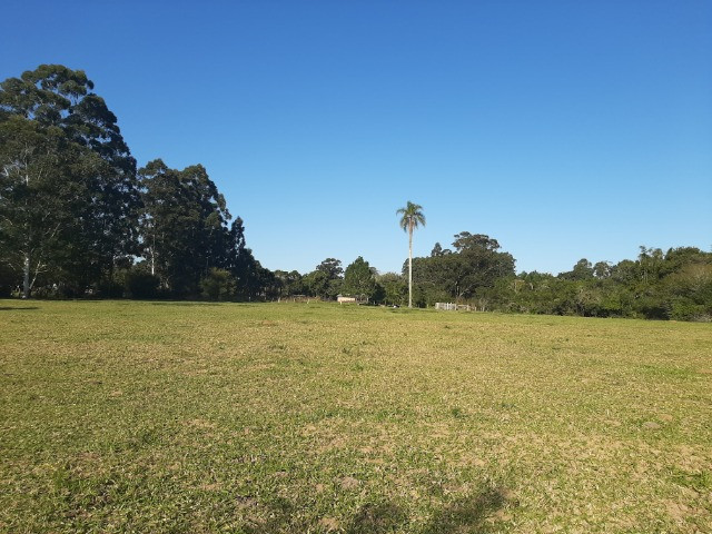Velleda oferece linda fazenda 70 hectares 10 km da RS-040, aproveita 100% - Foto 9