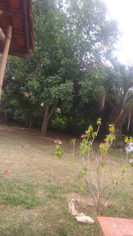 Velleda oferece sitio em condominio fechado, lazer e conforto perto de tudo - Foto 7