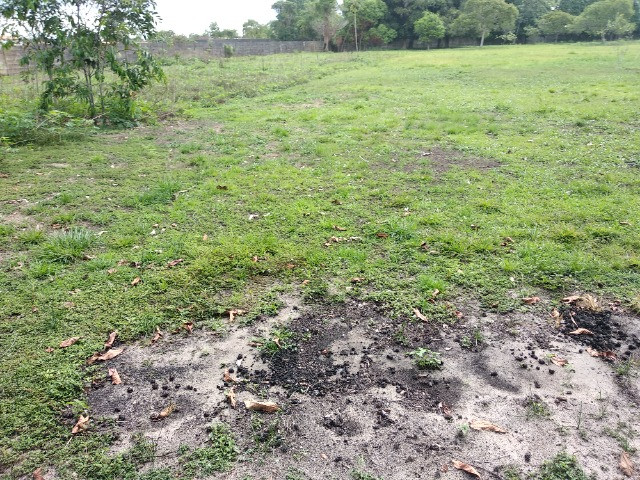 Terreno 21.000m2* próximo a BR 316 em Marituba - Foto 13