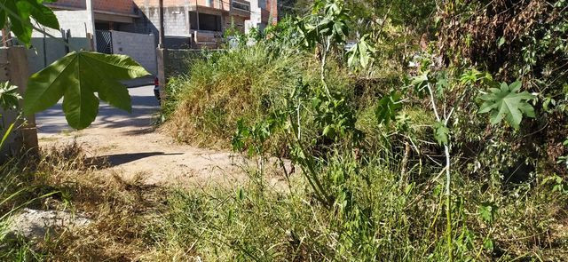 Terreno 125 m2 em s. pedro- sant. paraíba- facilitado- entrada e mais parcelas - Foto 5