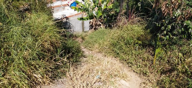 Terreno 125 m2 em s. pedro- sant. paraíba- facilitado- entrada e mais parcelas - Foto 3