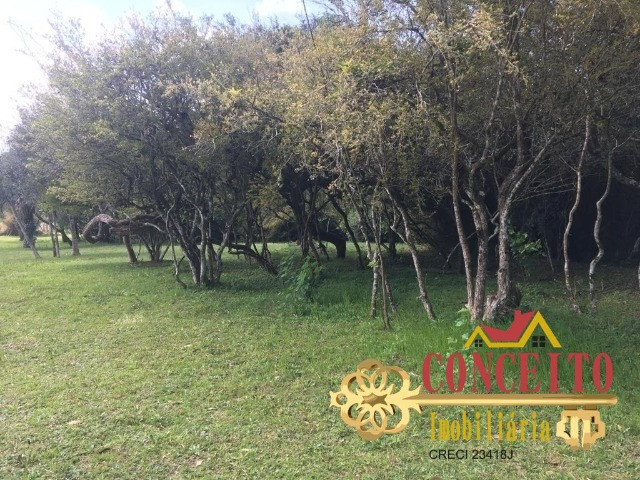 Lindo sítio particular, escriturado, com 20.000m² - confira - Foto 10