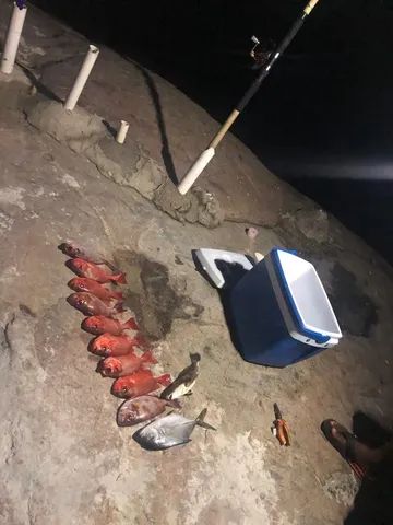 Alugo casa de Frente para o Mar c/ Píer e Dek, Caiaques e Tapete Flutuante. - Foto 12