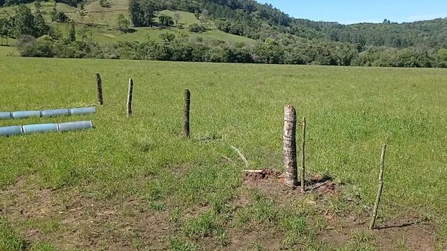 Chácara 23 hectares plano para pecuária  - Foto 2