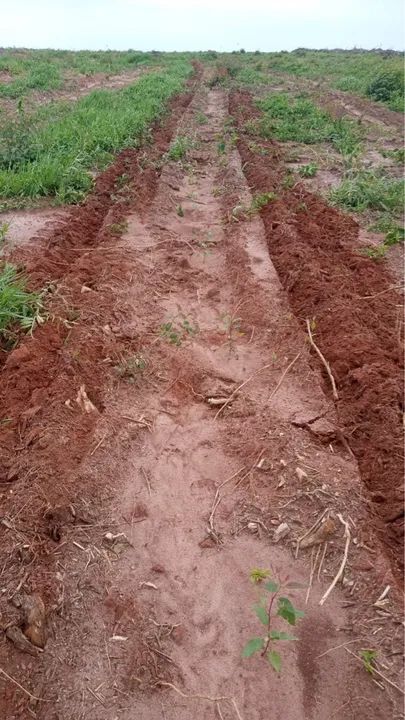 Trator BH 145 com mini Skidder tmo  - Foto 4