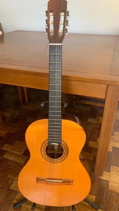 Violão Di Giorgio Author 3