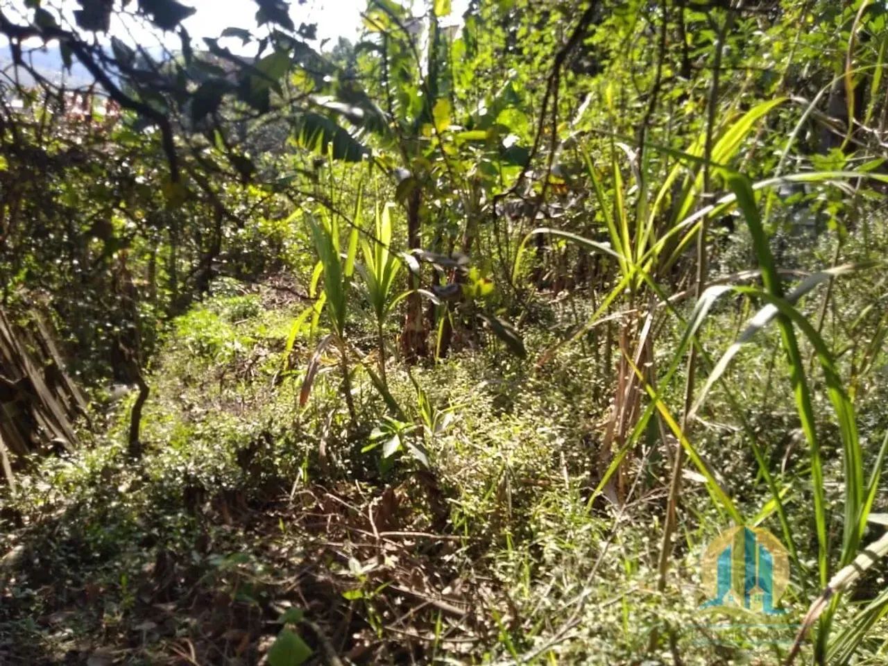 Terreno a venda no Payol - Foto 4