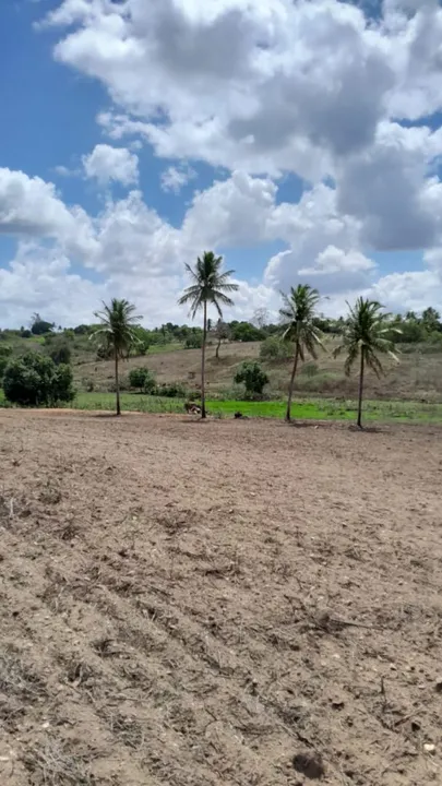 TERRENO EM SOBRADO 2,4 HECTARES