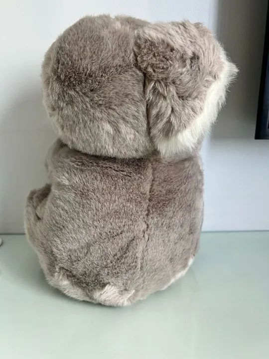 Koala de Pelúcia- Busch Gardens  - Foto 2