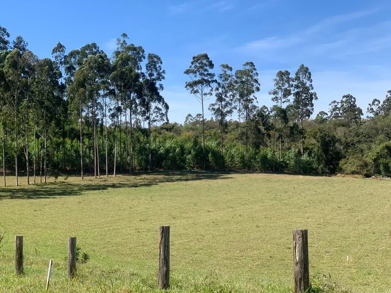 Preço acessível para você construir seu Lar! Lotes no Residencial Flamboyant - Foto 11