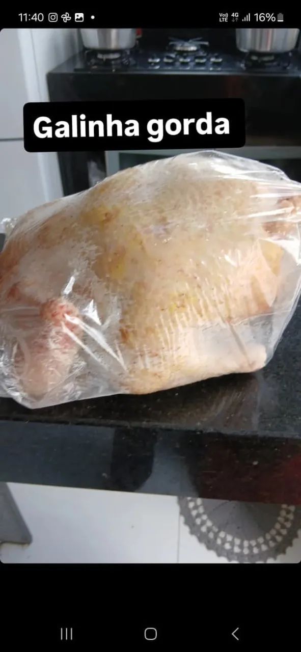 31- * Galinha rodia (isabrow) 25 reais cada  - Foto 5