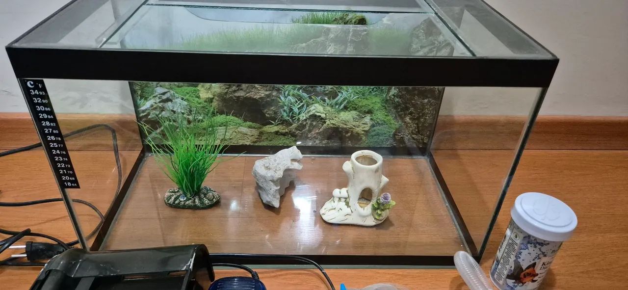 Aquário 40L completo - Foto 2