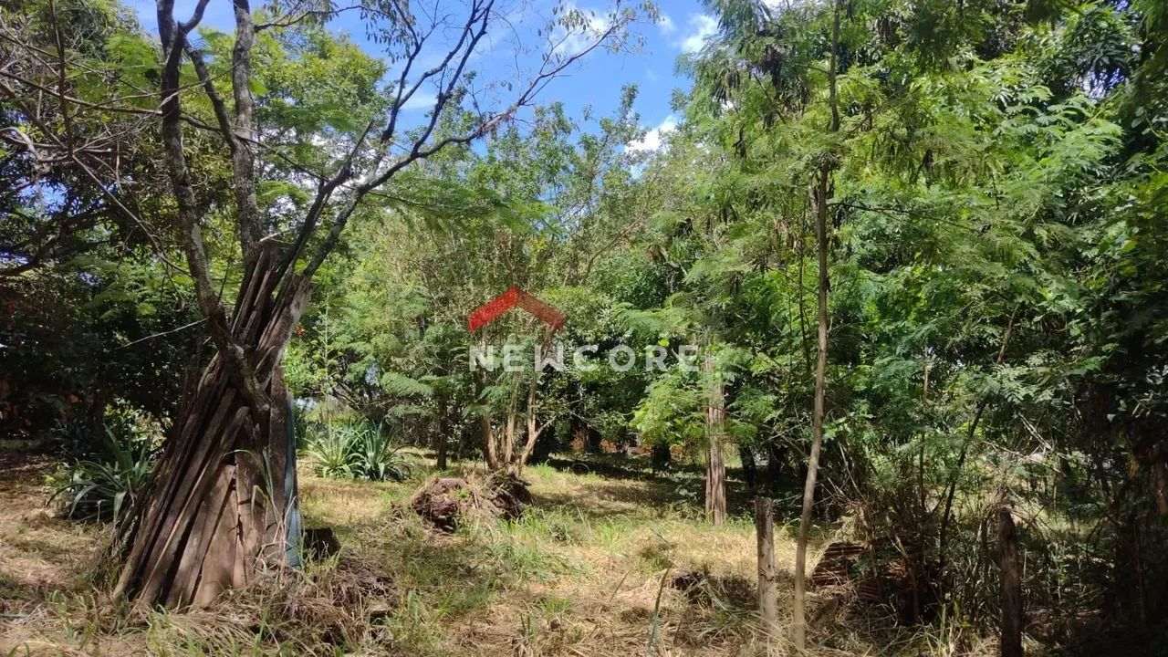 Sítio em Sitio das Fazendinhas - Almeda da Caixa Dágua - SITIO DAS FAZENDINHAS - Matozinho - Foto 5