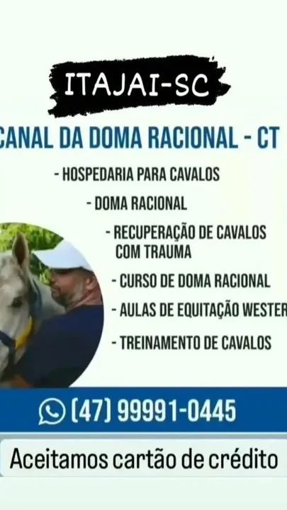 Aluguel de báias pra cavalo em itajai sc - Foto 4