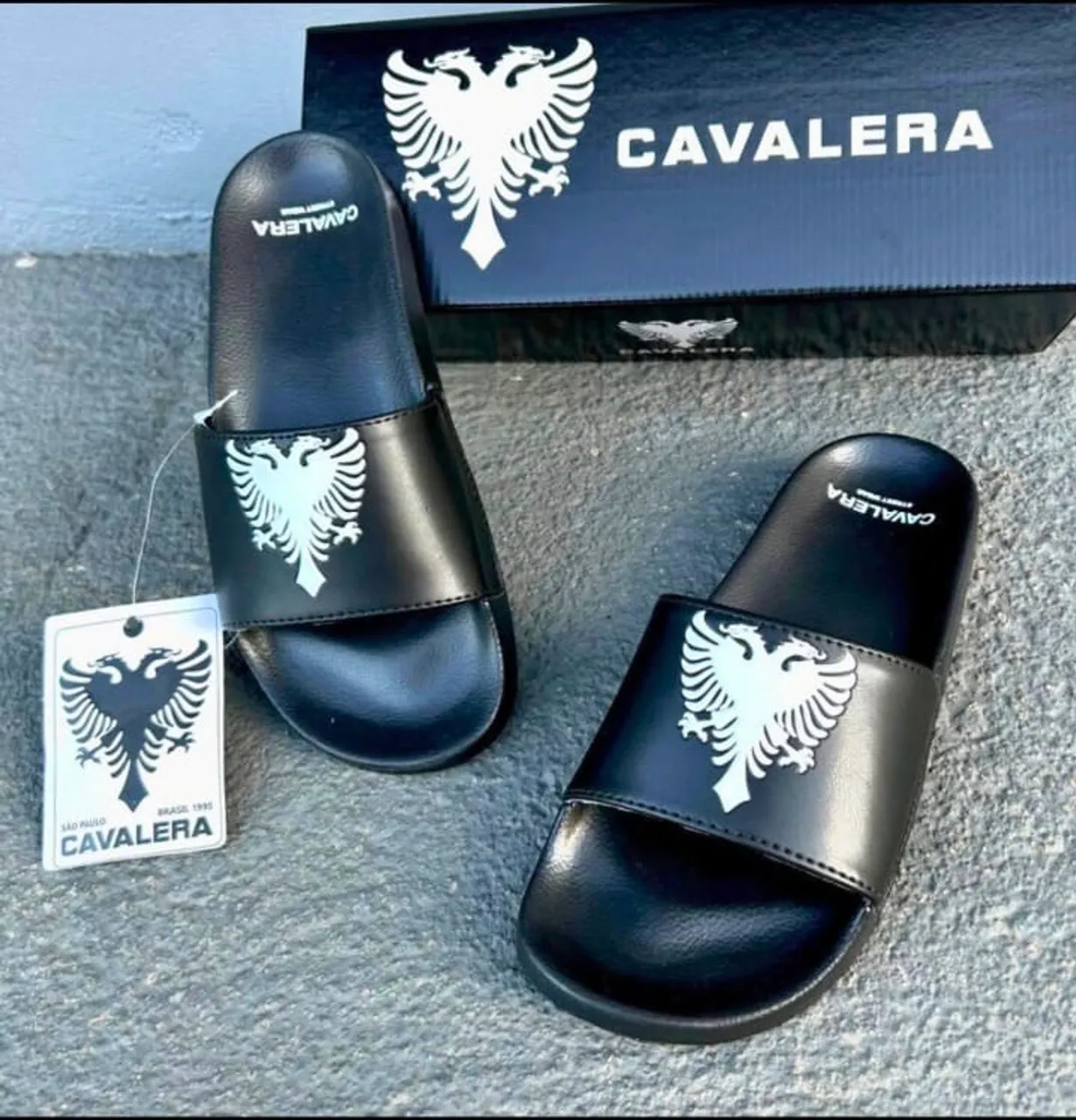 Chinelo Cavallera Slide 37/38