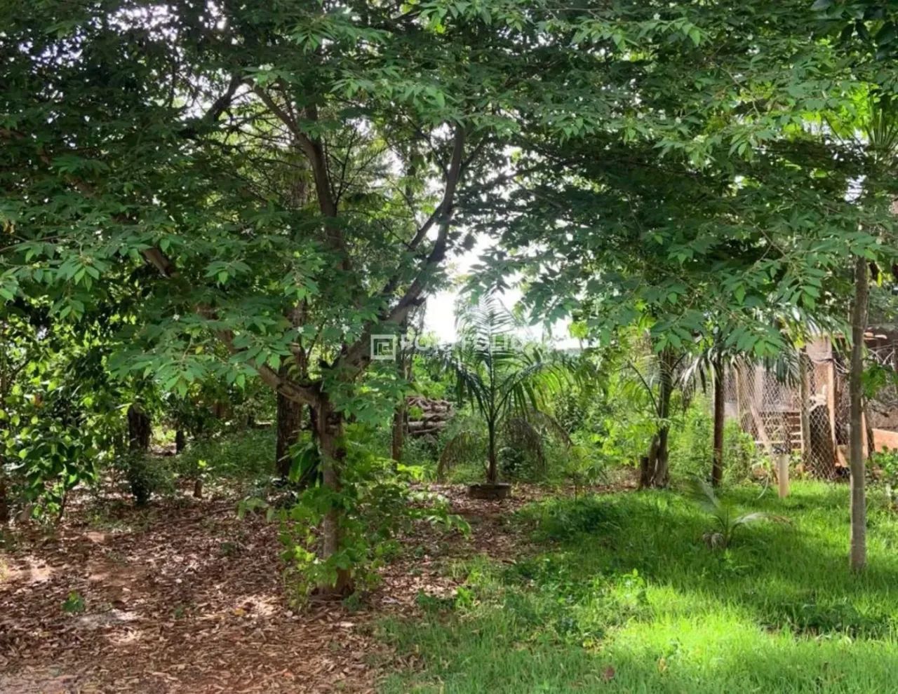 Terreno à venda, 1839 m² por R$ 420.000 - Recanto da Mata - Bela Vista de Goiás/GO - Foto 5