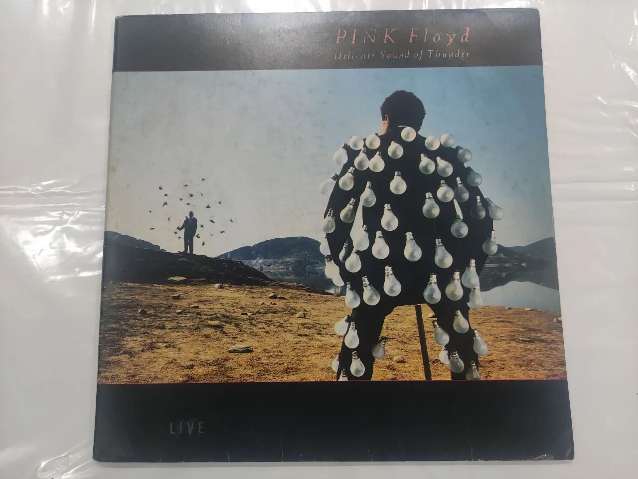 Pink Floyd - Delicate Sound of Thunder (Vinil)