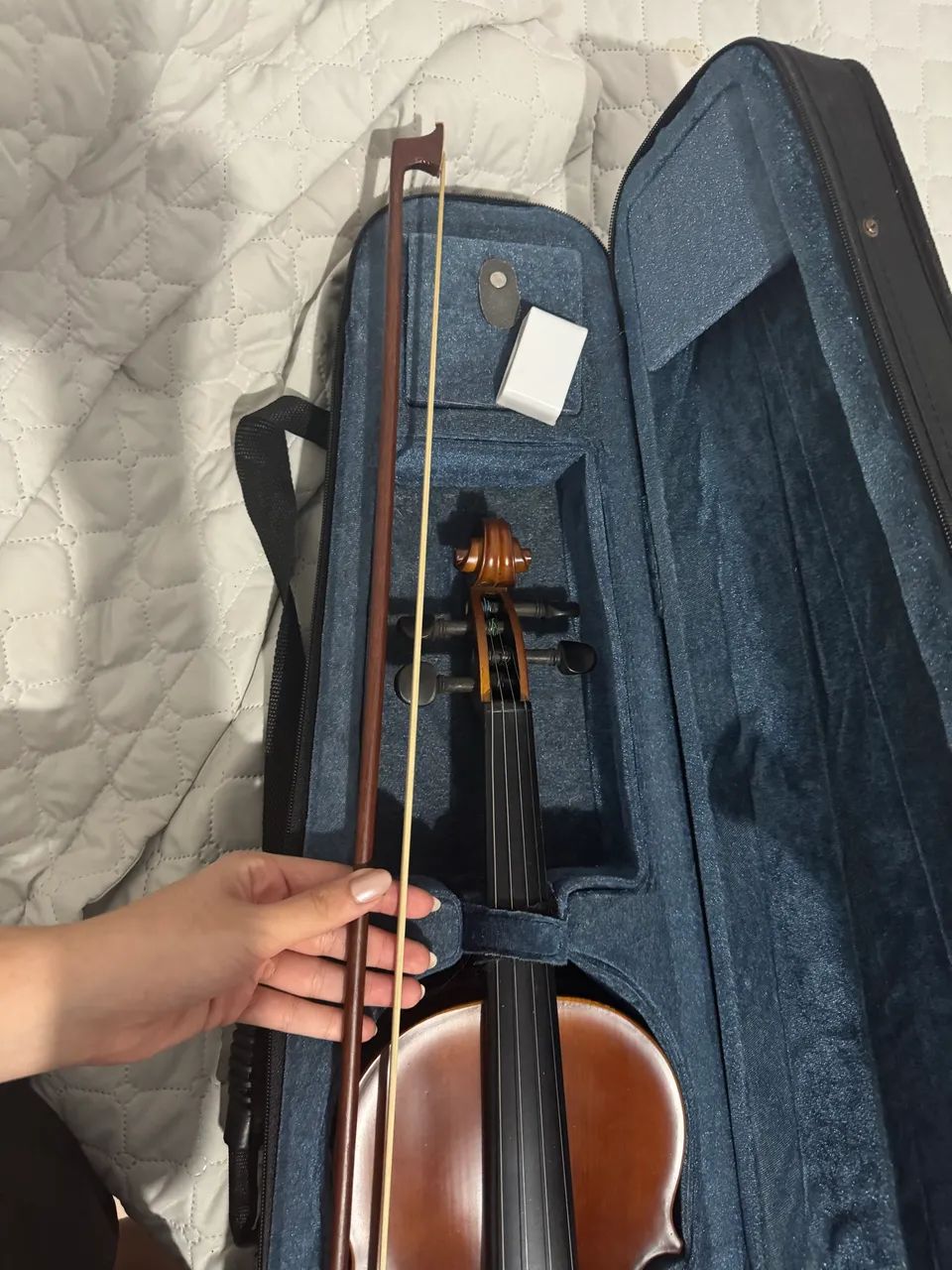 Violino65049014059139121